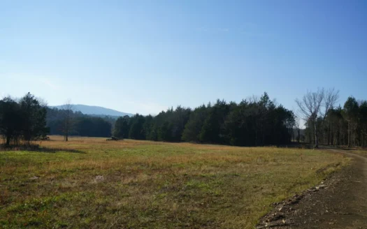 Cabin in Southeastern Oklahoma Joining National Forest