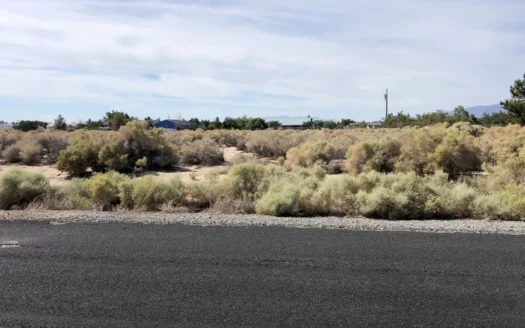 Nevada Residential Buildable Land Lot for Sale in Pahrump Nv