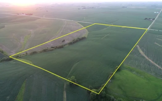 Tama County Iowa Farmland Auction