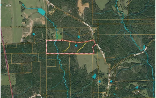 Hunting Land for Sale, Timberland for Sale