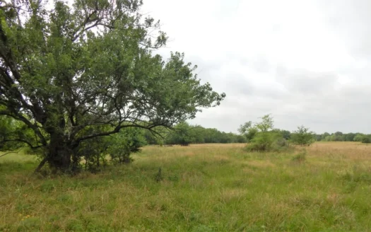 5 Acre Lot for Sale Bogata Texas Red River County
