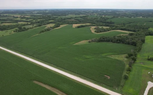 Iowa Hunting & Investment Land for Sale
