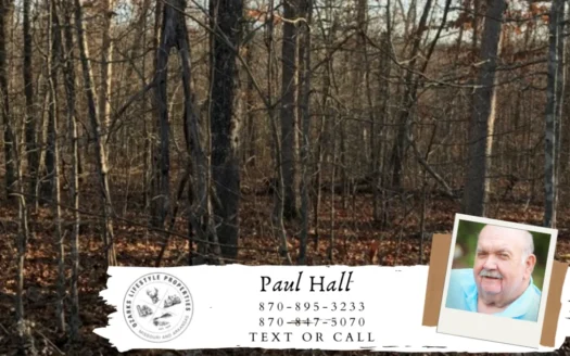 Acreage for Sale in Mammoth Spring, Ar