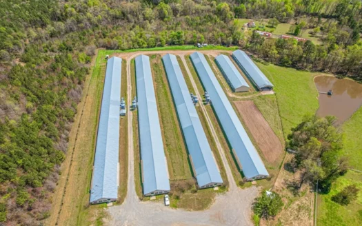Breeder Farm in Chatham County!