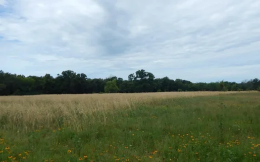 Residential Homesite Lots for Sale Bogata Tx