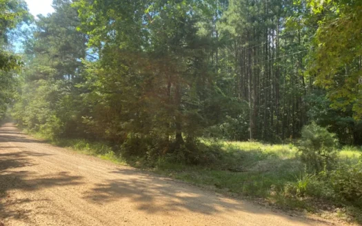 Beech Creek Timberland for Sale Near Stephens, Ar!!