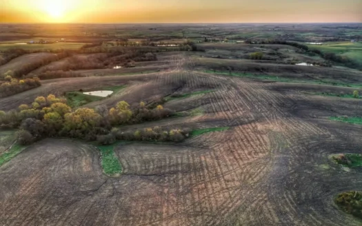 Ringgold County, Iowa Farmland W/3.2% Roi Income & Hunting