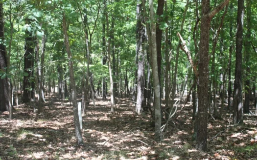 4 Adjoining Lots on Bull Shoals Lake in Gated Community