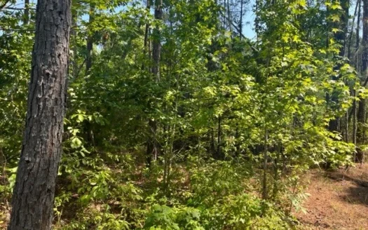 Chidester, Ar Land for Sale!!