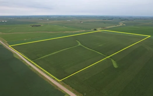 Tama County Iowa Farmland Auction