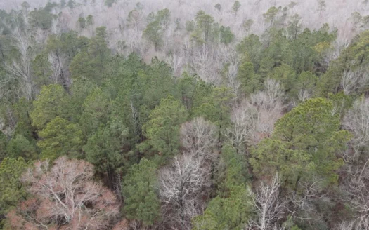 Mature Timberland Property Grant County Arkansas