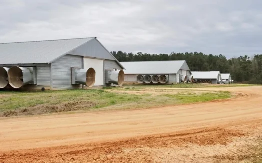 4 House Breeder Poultry Farm for Sale with Solar Power Ms