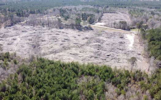 21 Acres Land for Sale Claiborne Parish La