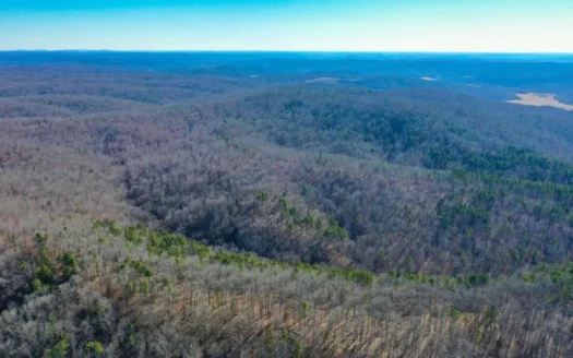 Secluded Hunting Property in South Central Missouri Ozarks