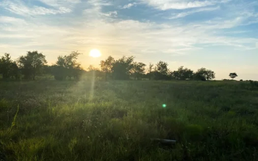 Land for Sale in Coryell County