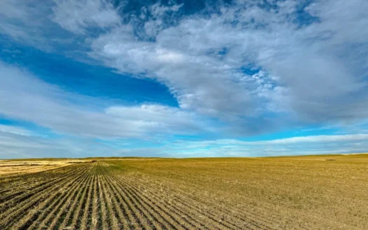 Montana Wheat Farm, Tillable Acres in Production for Sale
