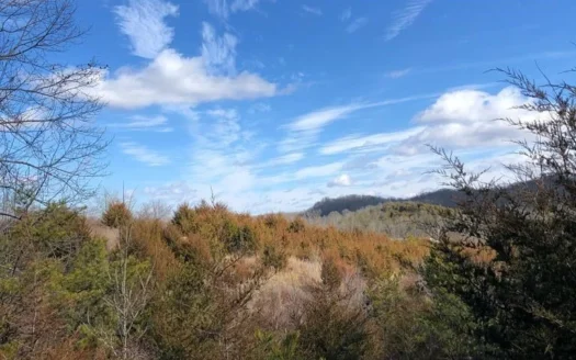 84 Acres Of Gently Rolling Land for Sale in Greene Co., Tn