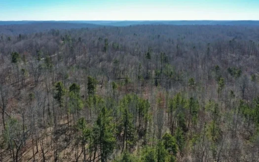 Secluded Hunting Retreat in Shannon County, Missouri