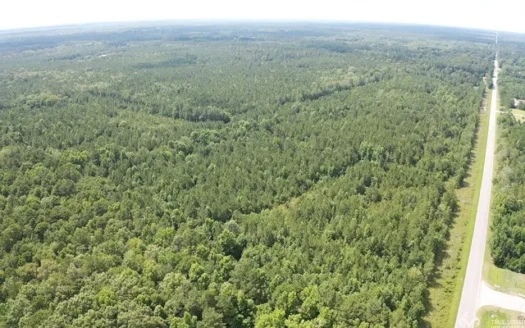 Hardeeville Multi-use Development Tract