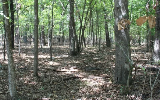 Lots 13, 14, 15 Bull Shoals Acres