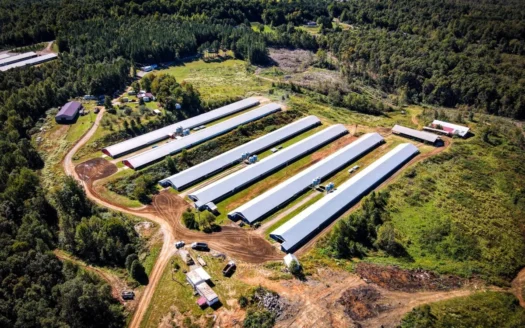 Poultry Farm for Sale in Connelly Springs Nc