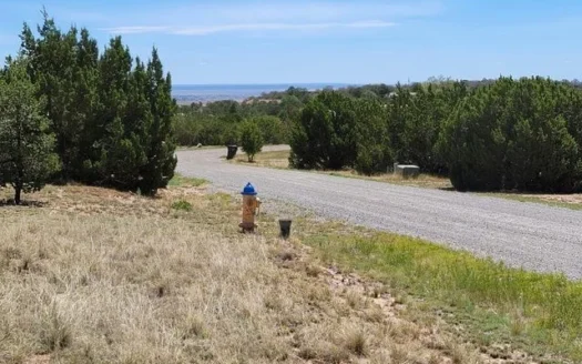 2 Acre Lot for Sale with All Utilities in Upscale Edgewood!