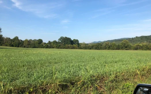 .56 Acres Of Unrestricted Land for Sale in Whitesburg, Tn