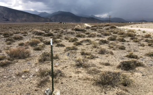 Nevada Residential Buildable Mountain Desert Land for Sale