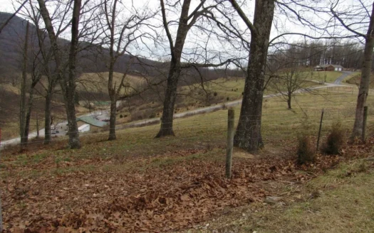 Building Lot for Sale in Lebanon Va