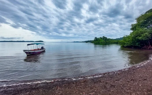 Mainland Property with Fertile Soil and Fresh Water Spring