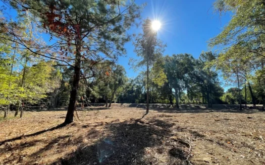 St Landry Parish Lots for Sale