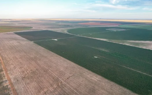 200.2 +/- Acre Tract for Sale in Lamb County