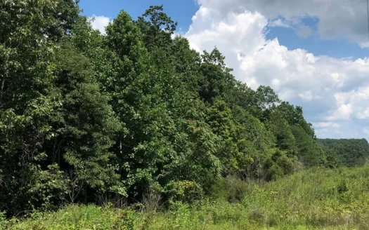 Accepted Offer – Unrestricted Land in Burkesville, Ky