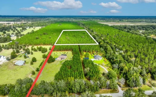 Land for Sale 12.7 Acres Planted Pines High Springs, Florida