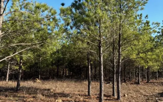 Nashoba, Ok Land For Sale – Hardy Creek Estates Tract #7