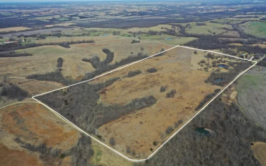 Hunting land with CRP Income for sale