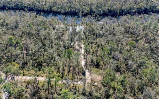 Riverfront Lot on the Withlacoochee River, – Jasper, FL