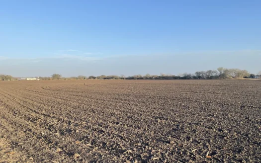 Acreage for Sale in St Paul, TX