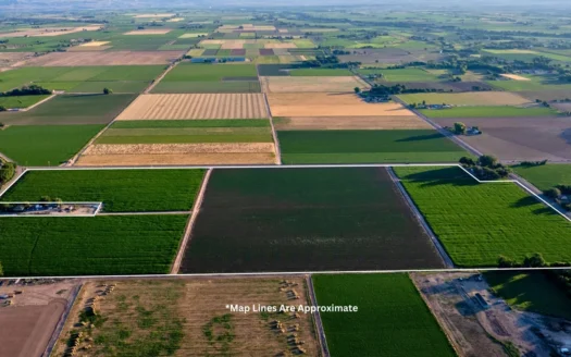 Olathe Irrigated Farm Land For Sale in Western Colorado