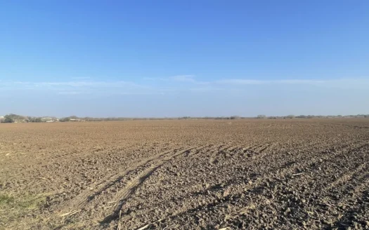 Acreage for Sale in St Paul, TX