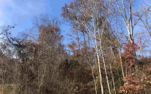 Cul-De-Sac lot for sale in Rogersville, Tennessee