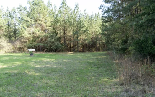 Longstraw 37 (Tract 3) Jackson Parish Timberland