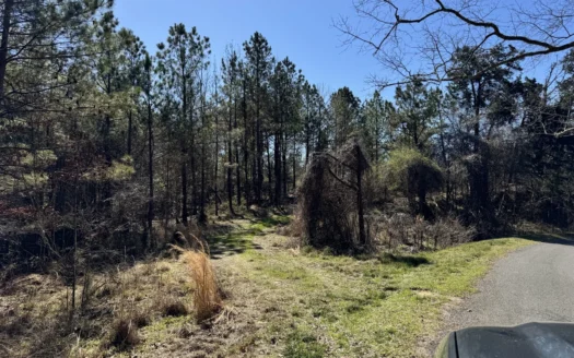 600 Acres Claiborne County Hunting Land Timber Investment