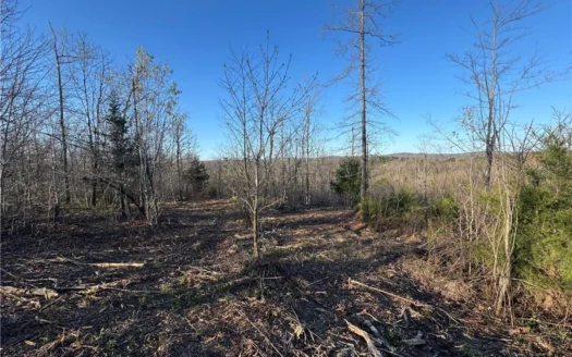 4 Ac Tract with Mountain Views  Newton County, Jasper Ar For Sale