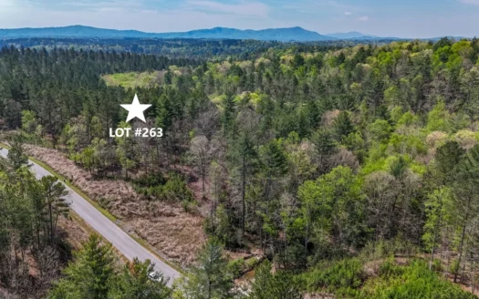 Large Lot For Sale With Lake Access – Caldwell County NC
