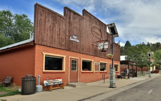 Investment Opportunity Restaurant and Bar in Western CO For Sale