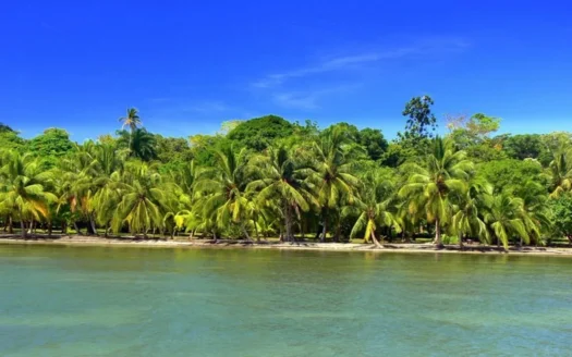 Titled Beachfront Lot on Isla Carenero, Bocas del Toro