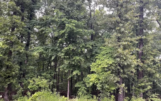 2 Cherokee Village  AR lots for sale