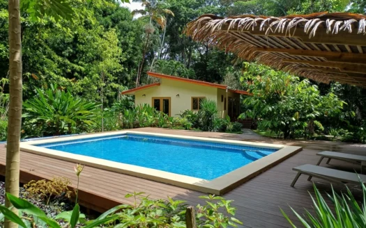 Luxury Jungle Villa with Pool in Isla Colón, Bocas del Toro