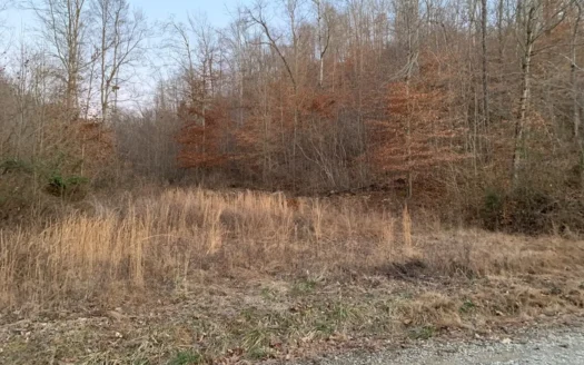 Hunting Land-Recreational Property-Secluded / Liberty, Ky.